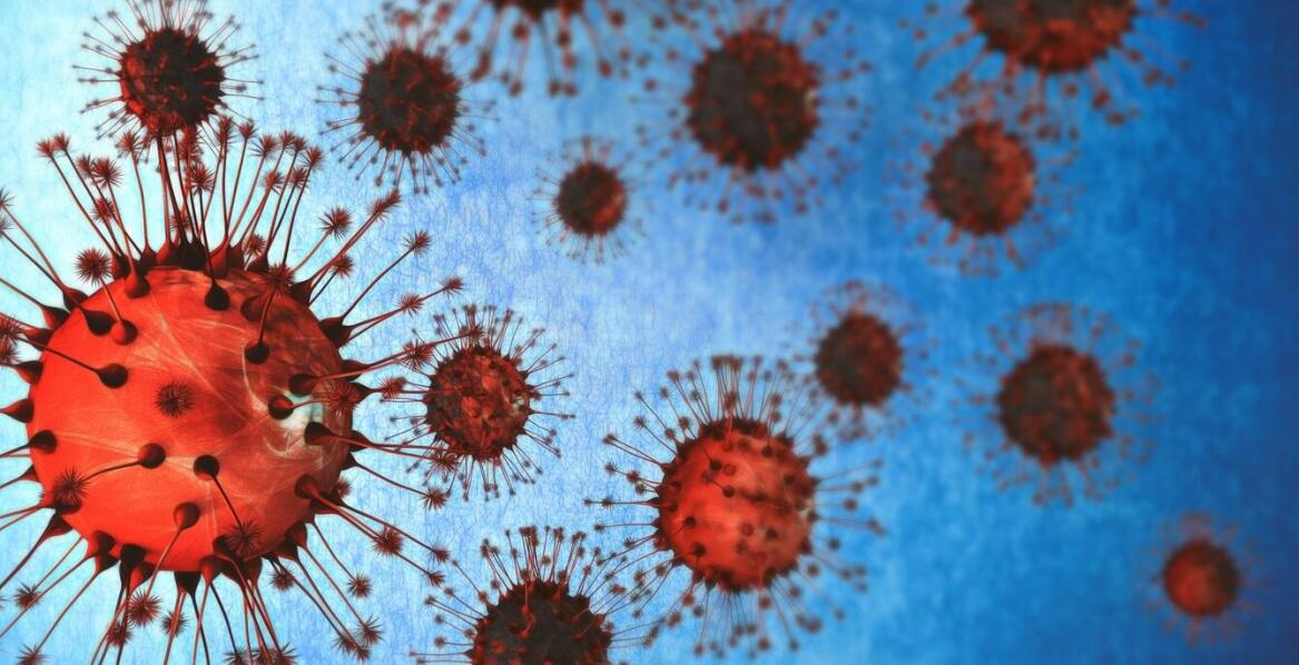 Najskuteczniejsze metody wykrywania i terapii boreliozy – wszystko, co warto wiedzieć