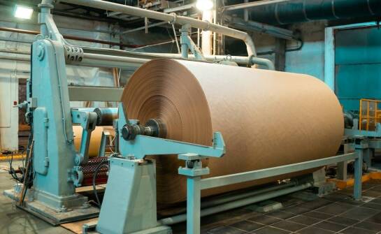 Jak tektura zmienia przemysł? Właściwości, rodzaje i możliwości zastosowań