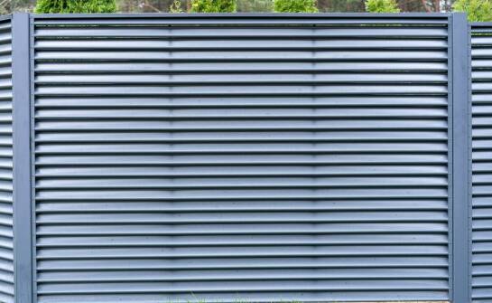 Wybór idealnego kojca dla psa – na co zwrócić uwagę?