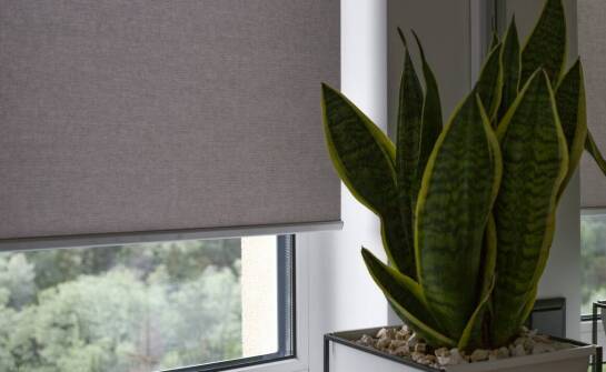 Zalety systemów automatyki w zarządzaniu roletami zewnętrznymi