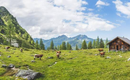 Jak kerbl polska wpływa na zrównoważony rozwój hodowli zwierząt?