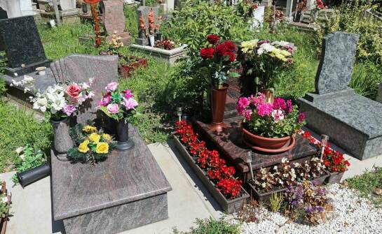 Jakie wyzwania wiążą się z utrzymaniem porządku na cmentarzu?