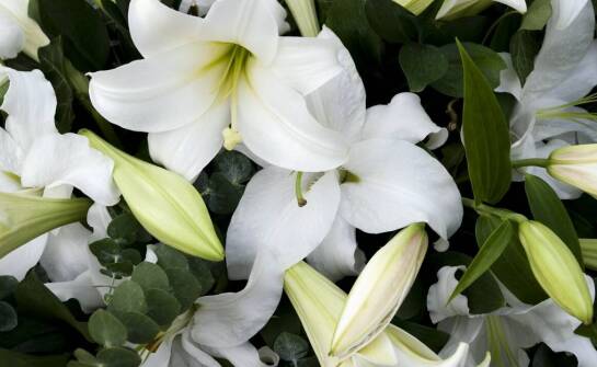 Dlaczego warto korzystać z usług florystycznych zakładu pogrzebowego?