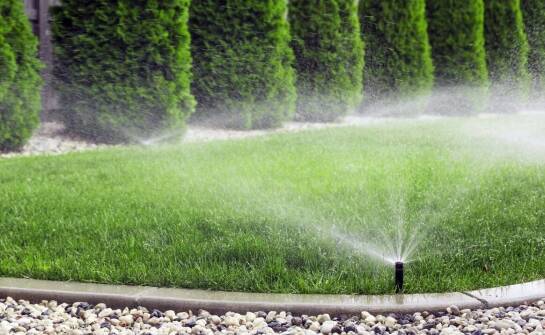 Jakie są kluczowe czynniki w planowaniu harmonogramu nawadniania?