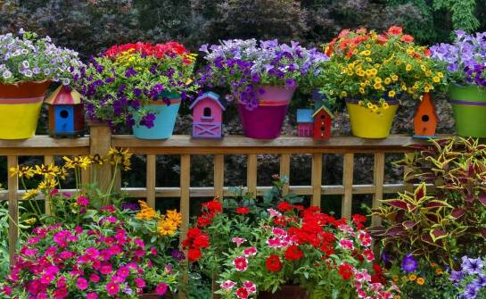 Skuteczne karmy dla ptaków dzikich: co warto wiedzieć przed zakupem?