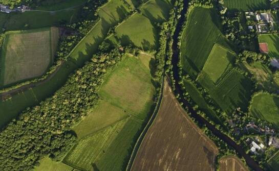 Jak numeryczny model pokrycia terenu wspiera zarządzanie zasobami naturalnymi?