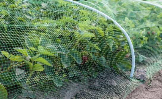 Jak rura plastikowa przezroczysta wspomaga innowacyjne rozwiązania w rolnictwie