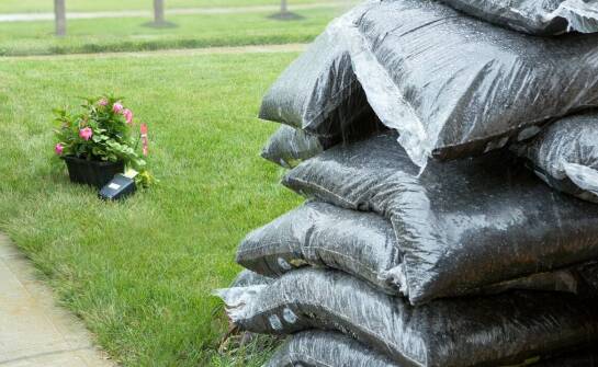 Kluczowe cechy nawozu NPK 10 30 20 w ogrodnictwie