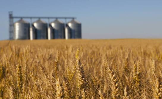 Jakie są kluczowe funkcje suszarni do kukurydzy w dużych gospodarstwach?