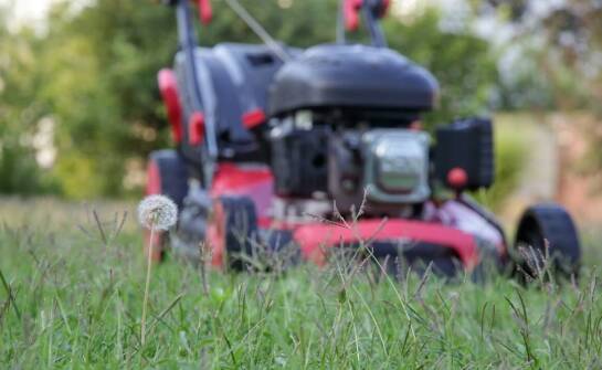 Poradnik: jak dbać o kosiarkę Honda HRX 537 VKE, aby służyła przez lata?