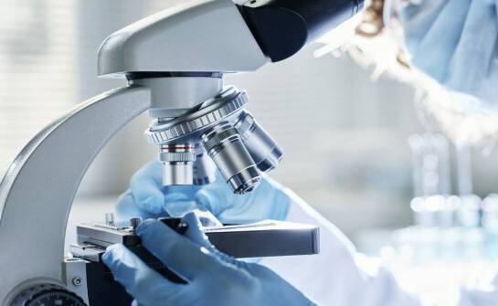 Jak dieta może wspomóc precyzyjne wykrywanie pasożytów w kale?