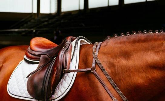 Co powinno się znaleźć w pomieszczeniu do ujeżdżania koni?
