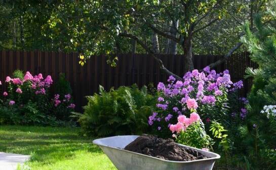 Efektywne nawozy organiczne: jak wspierają wzrost roślin?