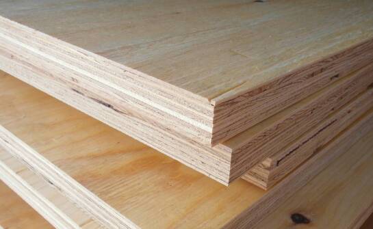 Sklejka ceiba sprzedam" – co warto wiedzieć przed zakupem?