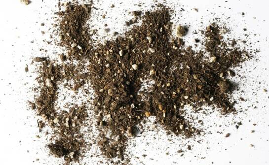 Wpływ właściwego zarządzania glebą na jej żyzność