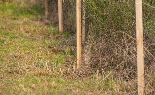Zastosowanie palików do pastucha elektrycznego w różnych warunkach terenowych