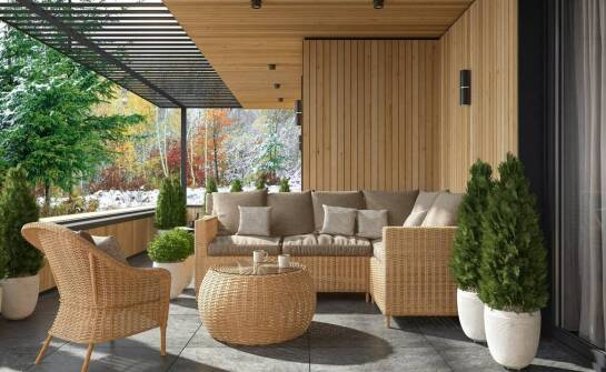 Drzewka owocowe jako dekoracja tarasu – na co zwrócić uwagę?