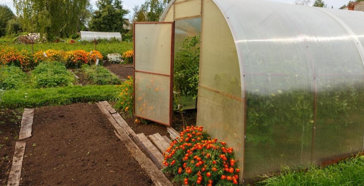 Zastosowanie poliwęglanu komorowego UV w konstrukcjach szklarniowych