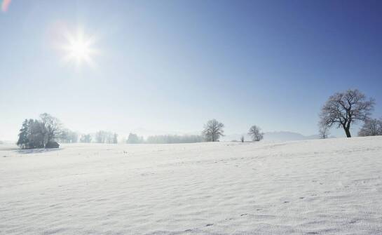 Derka magnetyczna – klucz do lepszego samopoczucia koni w zimowym sezonie