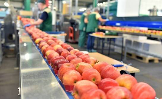 Kompleksowe rozwiązania dla przetwórni: prasy do wyciskania soku w akcji