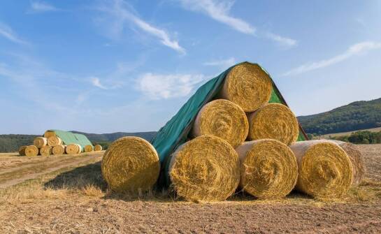 Jak małe worki na piasek mogą wspierać działania w branży rolniczej?