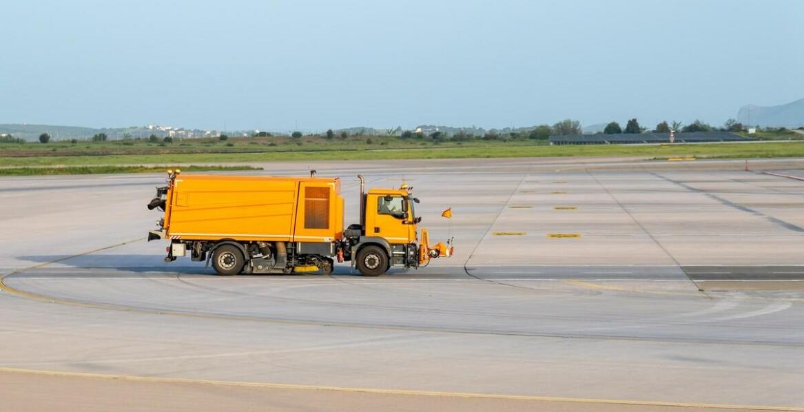 Przewóz zwierząt drogą lotniczą: zasady i procedury obsługi