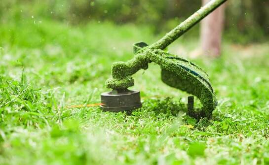 Jak wynajem frezarki do korzeni może ułatwić prace w ogrodzie?