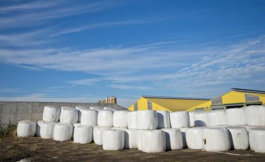 Skuteczna ochrona kiszonki – jakie siatki najlepiej się sprawdzą?