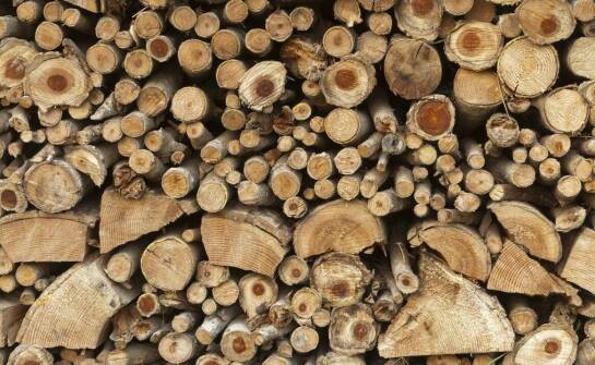 Przewaga lokalnych dostawców drewna kominkowego – zalety i wady