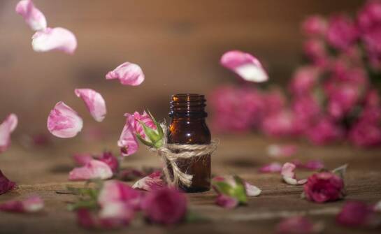 Ile może kosztować produkcja francuskich perfum lanych?