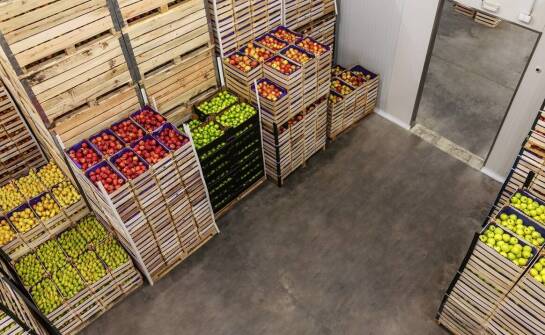 Jakie są najlepsze praktyki przechowywania nasion warzyw w hurtowniach?