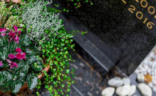 Cmentarze dla zwierząt jako miejsce wsparcia w procesie żałoby