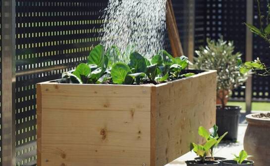 Dlaczego warto wybrać skrzynki balkonowe 50 cm do uprawy roślin?