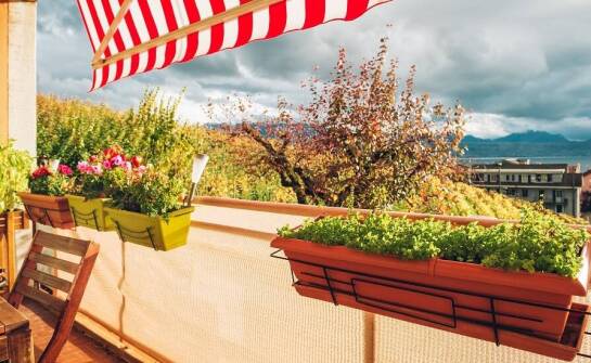 Czym kierować się przy wyborze skrzynki balkonowej wiszącej do nowoczesnego wnętrza?