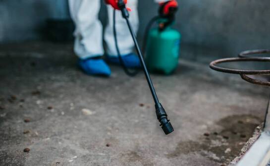 Jakie wyzwania stawia dezynsekcja w Pruszkowie i jak im sprostać?