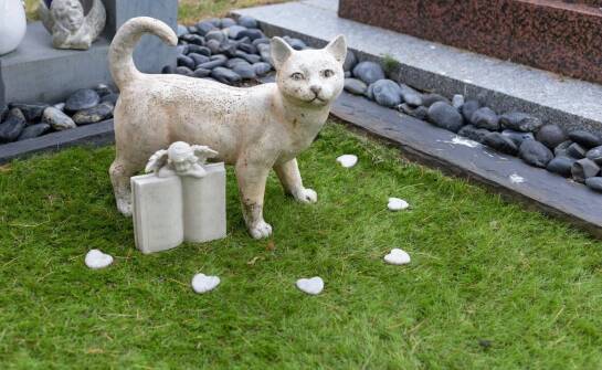 Ekologiczne korzyści z wyboru kremacji zwierząt