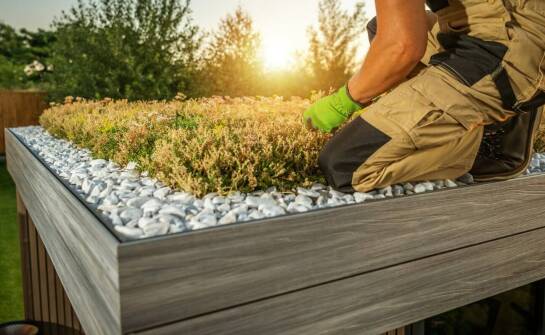 Profesjonalne zakładanie ogrodów na trudnych terenach – wyzwania i rozwiązania