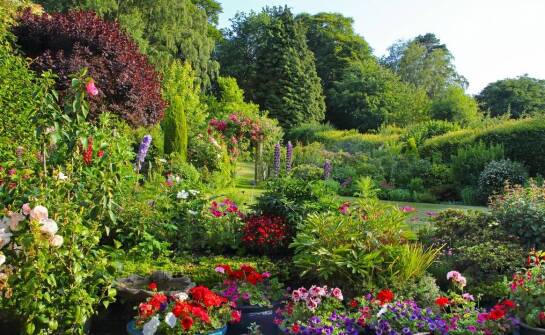 Drzewa owocowe: jak wybrać odpowiednie miejsce do ich posadzenia?