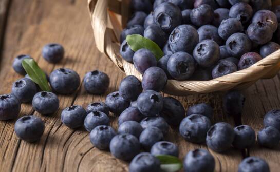 Gdzie kupić świeże borówki prosto od producentów?