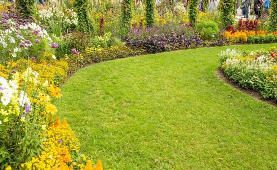 Jakie są najnowsze trendy w uprawach mieszanek traw?