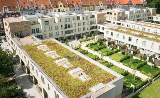 Jak zielone dachy wspierają lokalne inicjatywy ekologiczne?