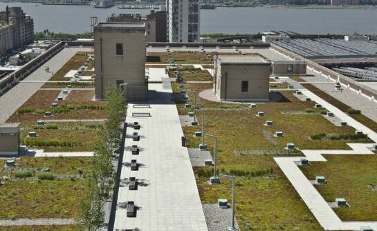 Przyszłość ekstensywnych dachów zielonych w architekturze miejskiej