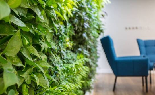 Zielona architektura – jak mobilne ściany zielone wpisują się w trendy ekologiczne?