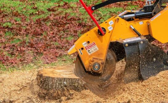 Rola frezowania pni w bezpiecznym usuwaniu pozostałości po wycince drzew