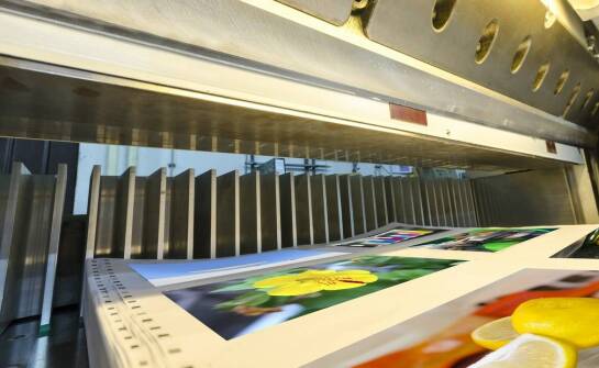 Druk książek: jakie rozwiązania oferują drukarnie cyfrowe dla małych nakładów?