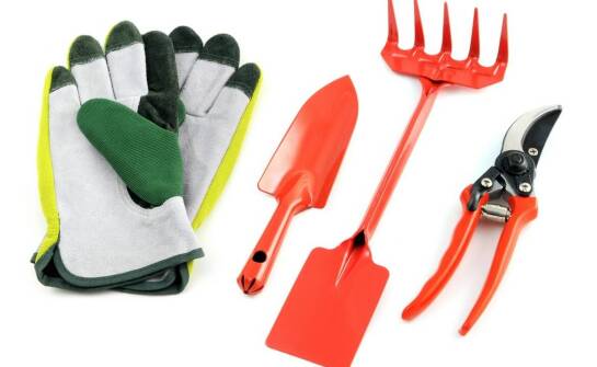 Jakie narzędzia pomogą w pielęgnacji trawnika?