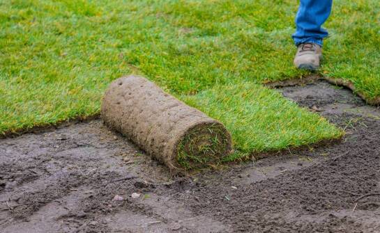 Trawniki z rolki: jakie są ich główne zalety w zastosowaniach miejskich?
