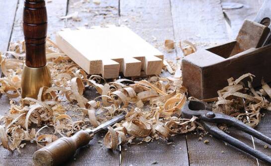 Rola trocin w ochronie środowiska i ogrodnictwie