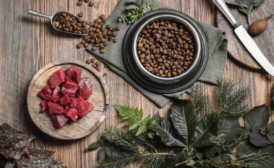 Jakie korzyści zdrowotne przynosi mięso jagnięce w diecie BARF?