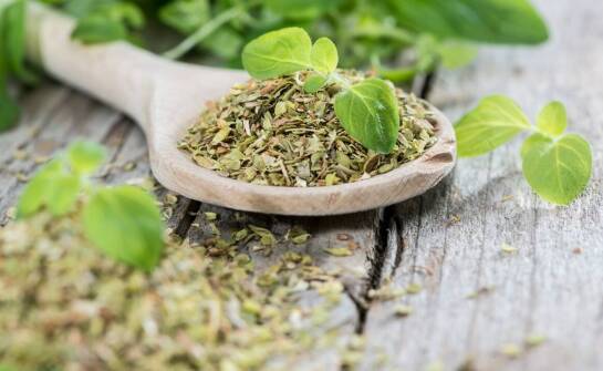 Rola ziół w poprawie trawienia u koni